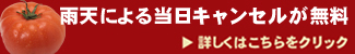 雨天による当日キャンセルが無料